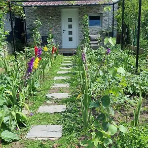  Chalet Alex