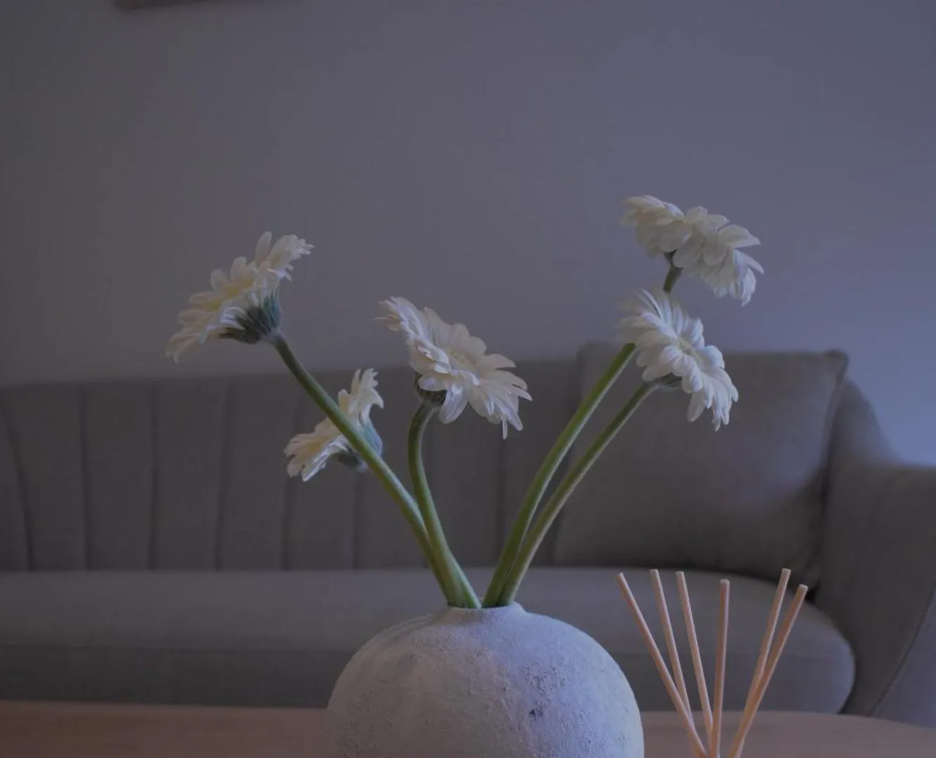Studio&Stay Room Gent Lejlighed
